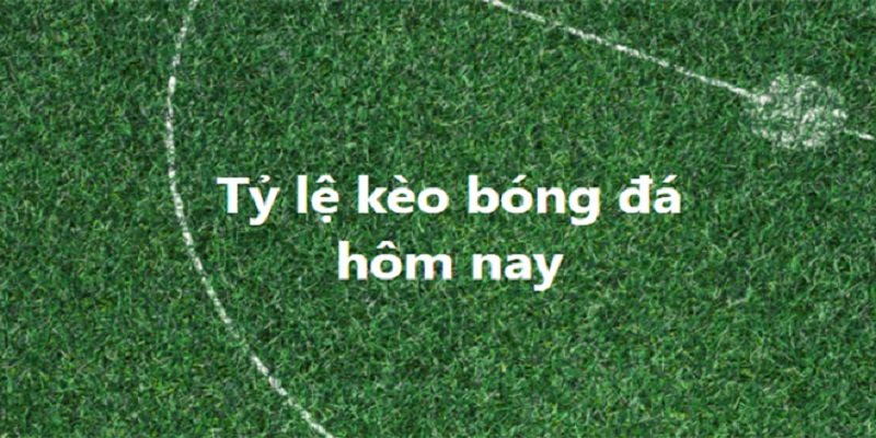 Lý do bet thủ nên tham gia vào tỷ lệ kèo nhà cái 5 Lý do bet thủ nên tham gia vào tỷ lệ kèo nhà cái 5