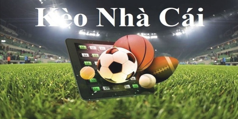 Tỷ Lệ Kèo Nhà Cái 5 - Cập Nhật Liên Tục Các Kèo Bóng Đá